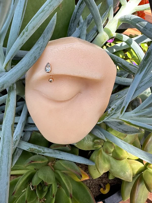 identitybodypiercing202605031415342147502