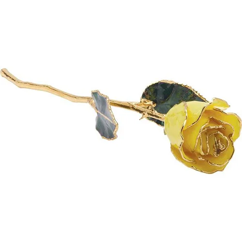 joyjewelers-1202605031633352195965